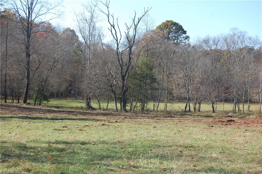 3224 Mining Ridge Church Road State Road, NC 28676 - Photo 10 of 26 Gallery Image 10