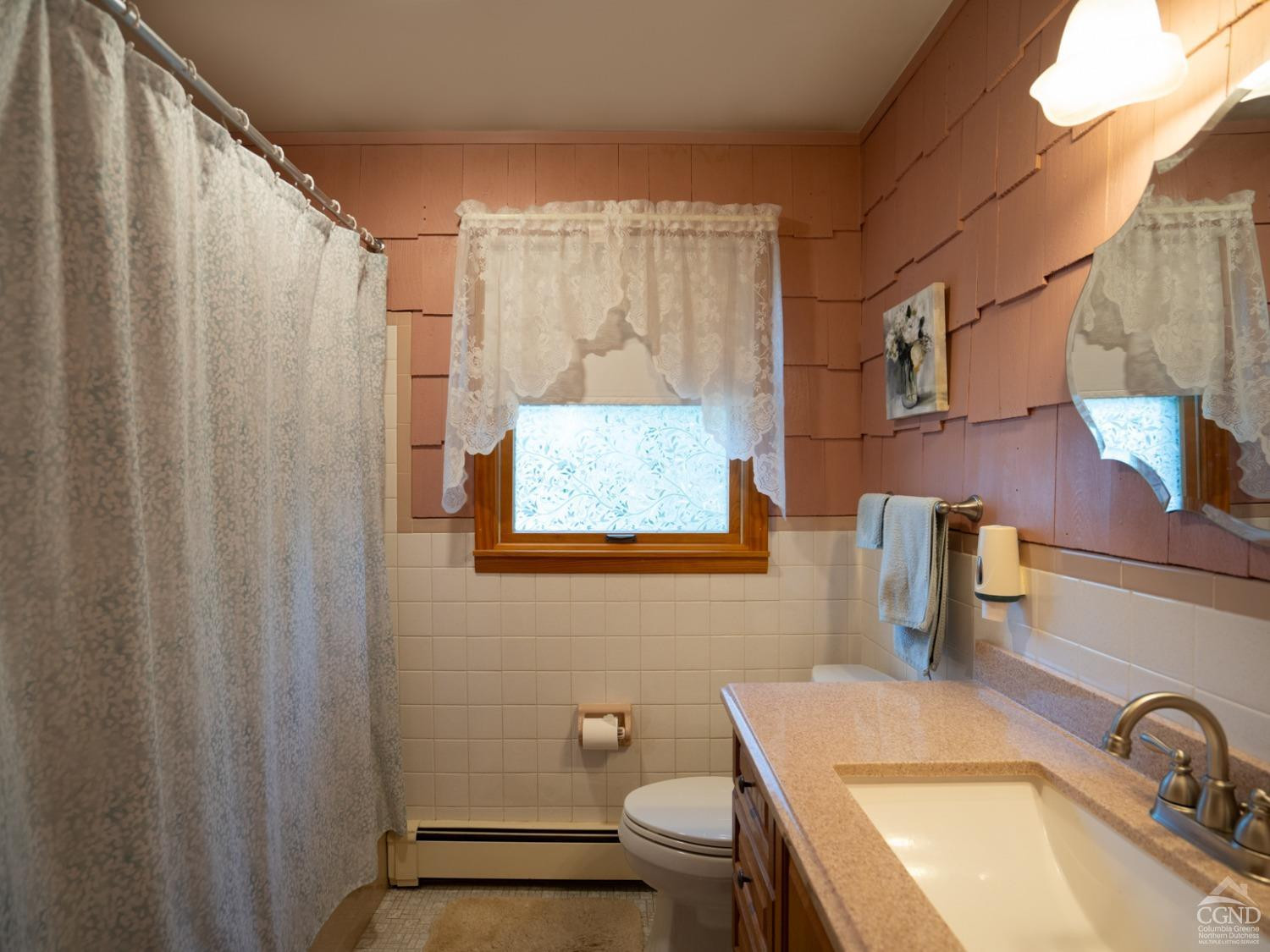 28 Allen Circle Stuyvesant, NY 12106 - Photo 13 of 41 a bathroom with a sink a toilet and shower curtain