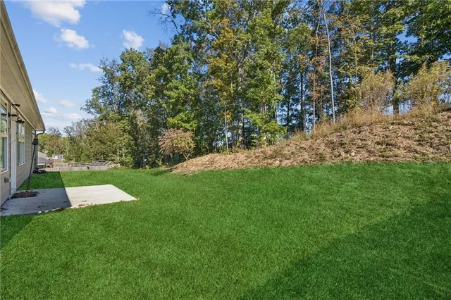 a view of yard with green space