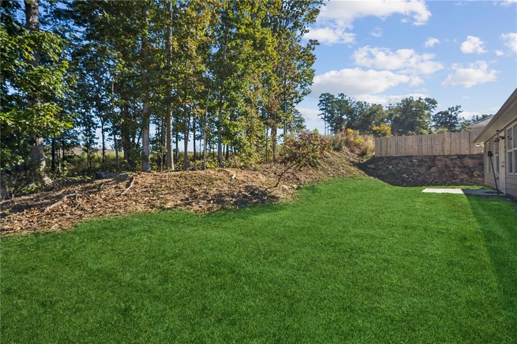 224 Katie Lane Commerce, GA 30529 - Photo 29 of 35 a view of a backyard with large trees