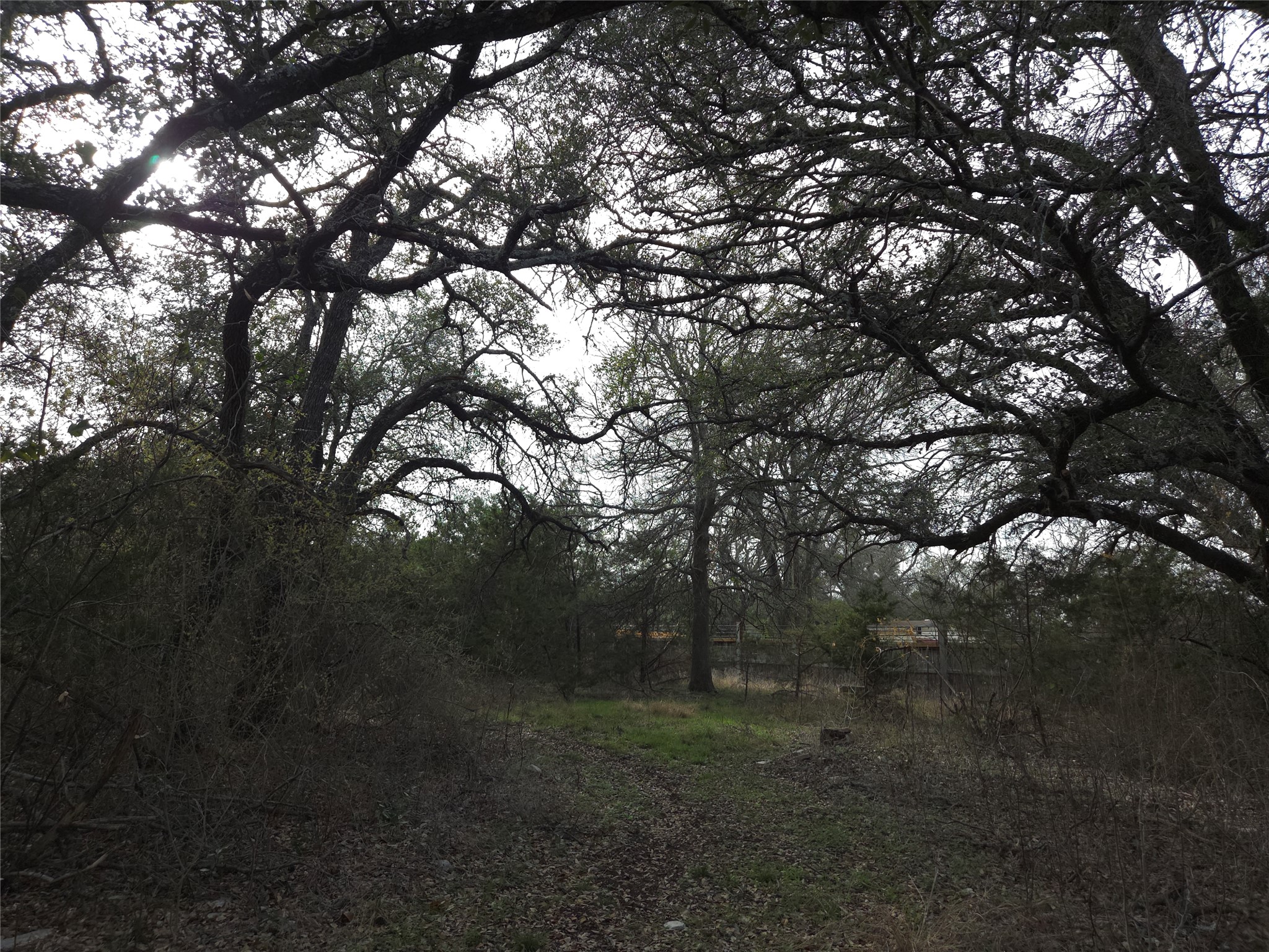 Tbd Oakland Road Georgetown, TX 78633 - Photo 11 of 14 View of local wilderness