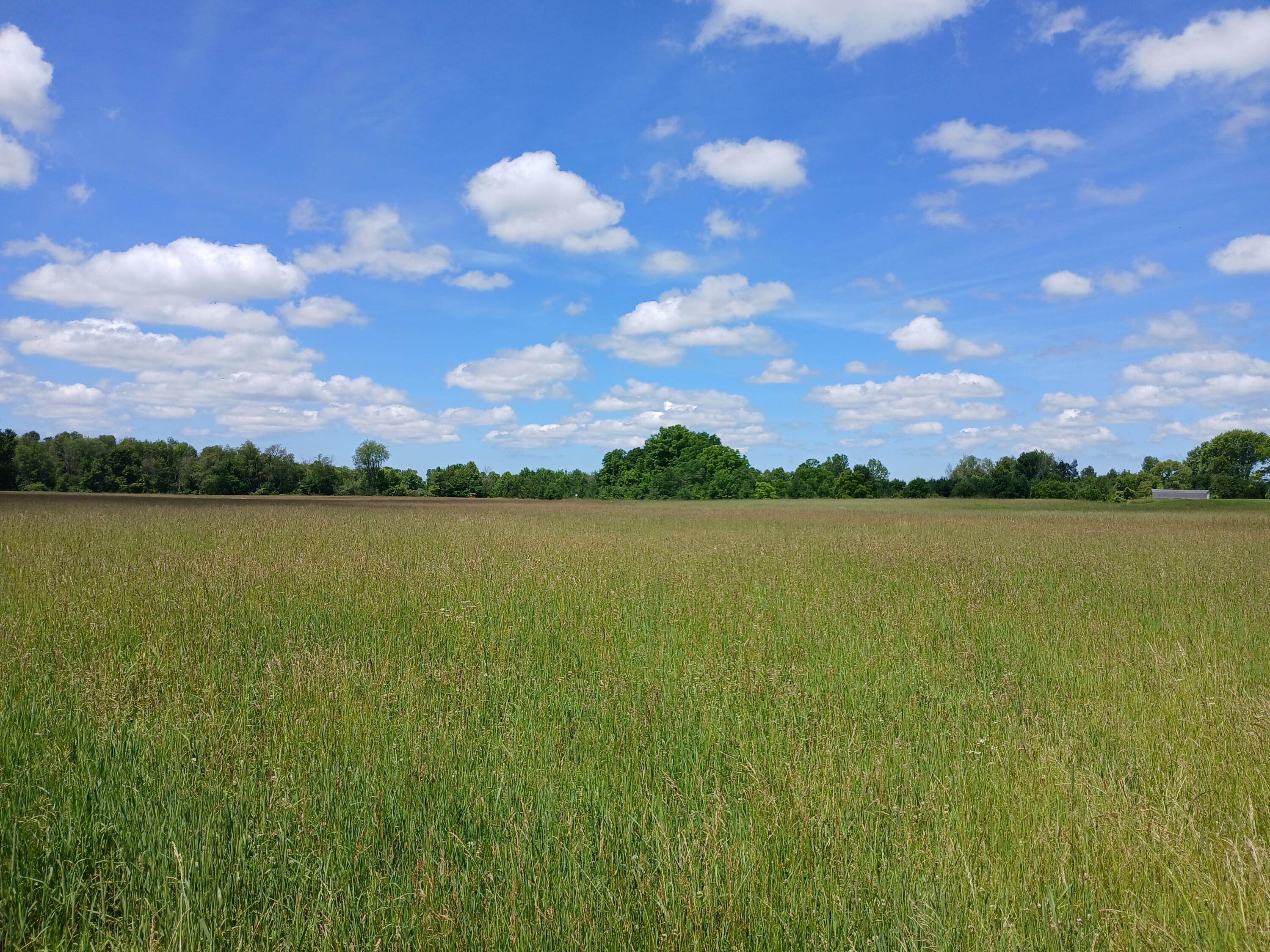 20 South Stephens Road Custer, MI 49405 - Photo 4 of 9 Looking N