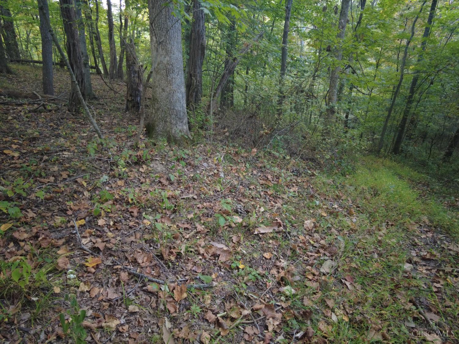 22-ac Richey Road Felicity, OH 45120 - Photo 25 of 30