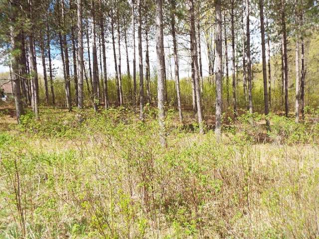 Lot #1 Neva Road Deerbrook, WI 54424 - Photo 1 of 2 Gallery Image 1