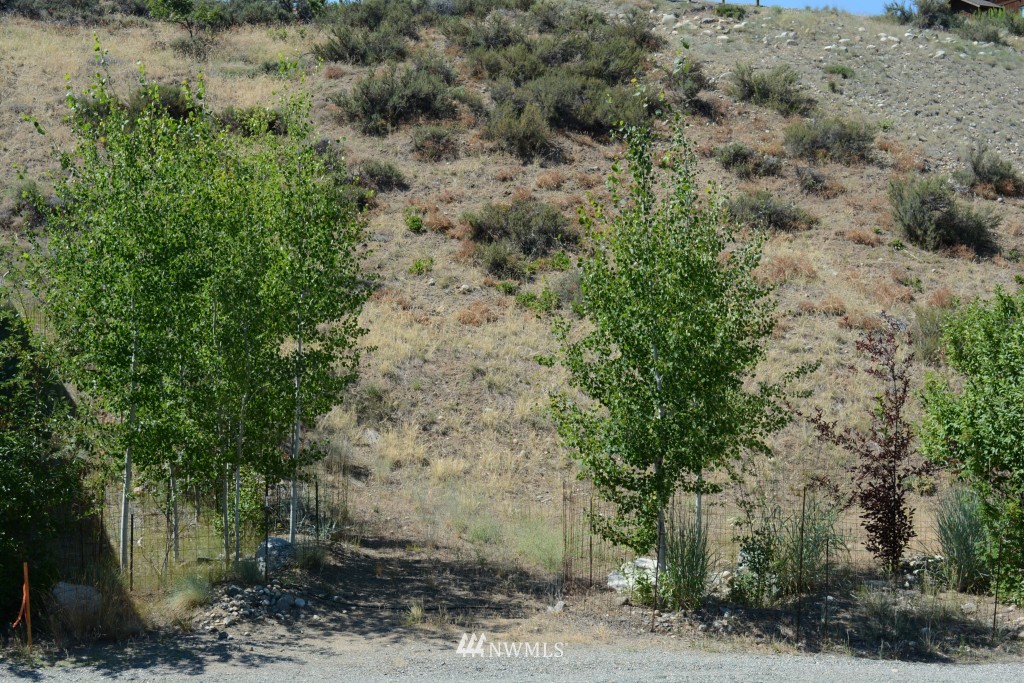 0 North Village Road Winthrop, WA 98862 - Photo 1 of 16 Gallery Image 1