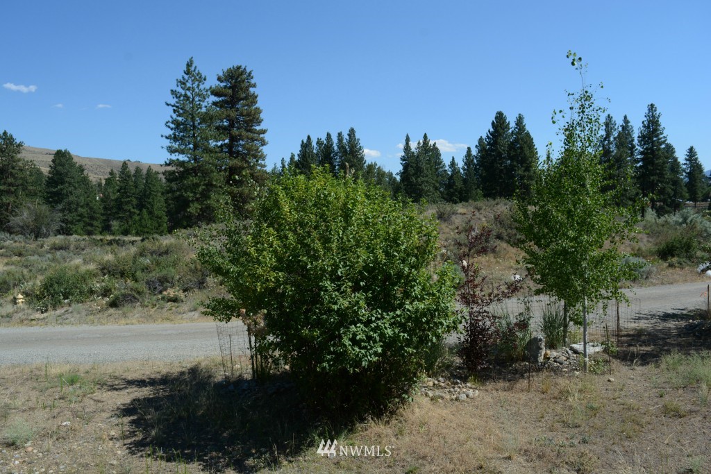 0 North Village Road Winthrop, WA 98862 - Photo 2 of 16 Gallery Image 2