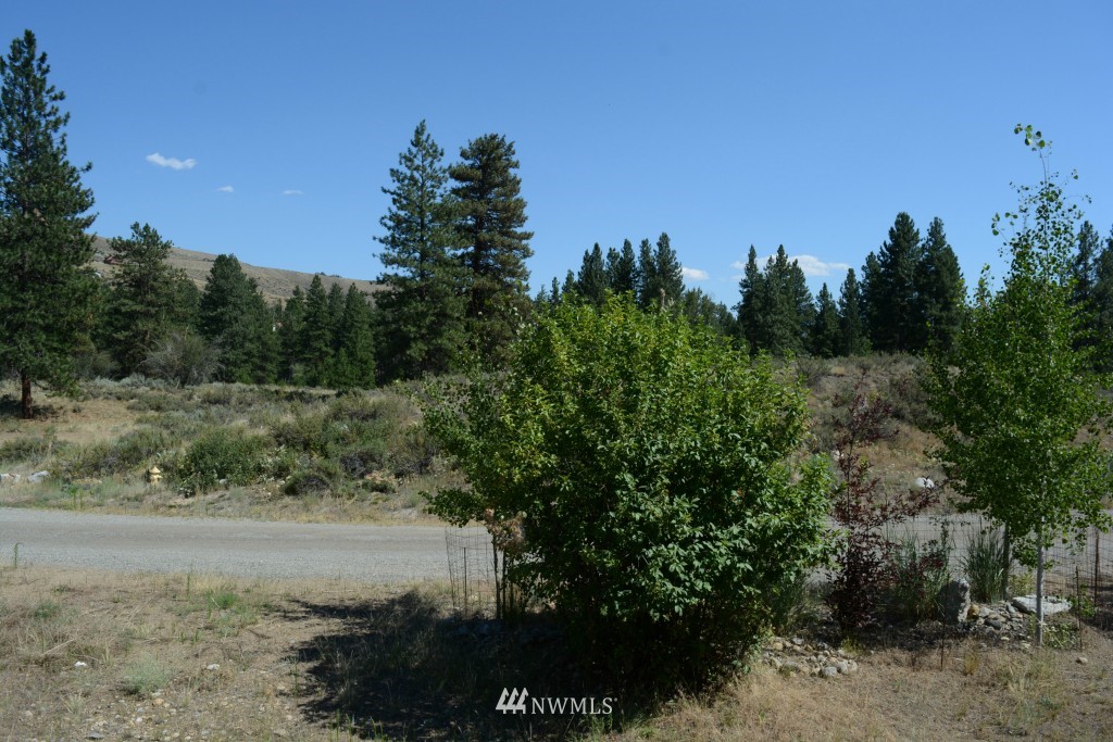 0 North Village Road Winthrop, WA 98862 - Photo 15 of 16 Gallery Image 15