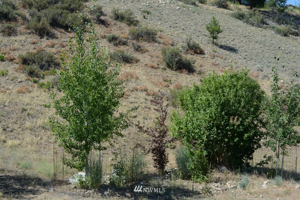 0 North Village Road Winthrop, WA 98862 - Photo 3 of 16 Gallery Image 3