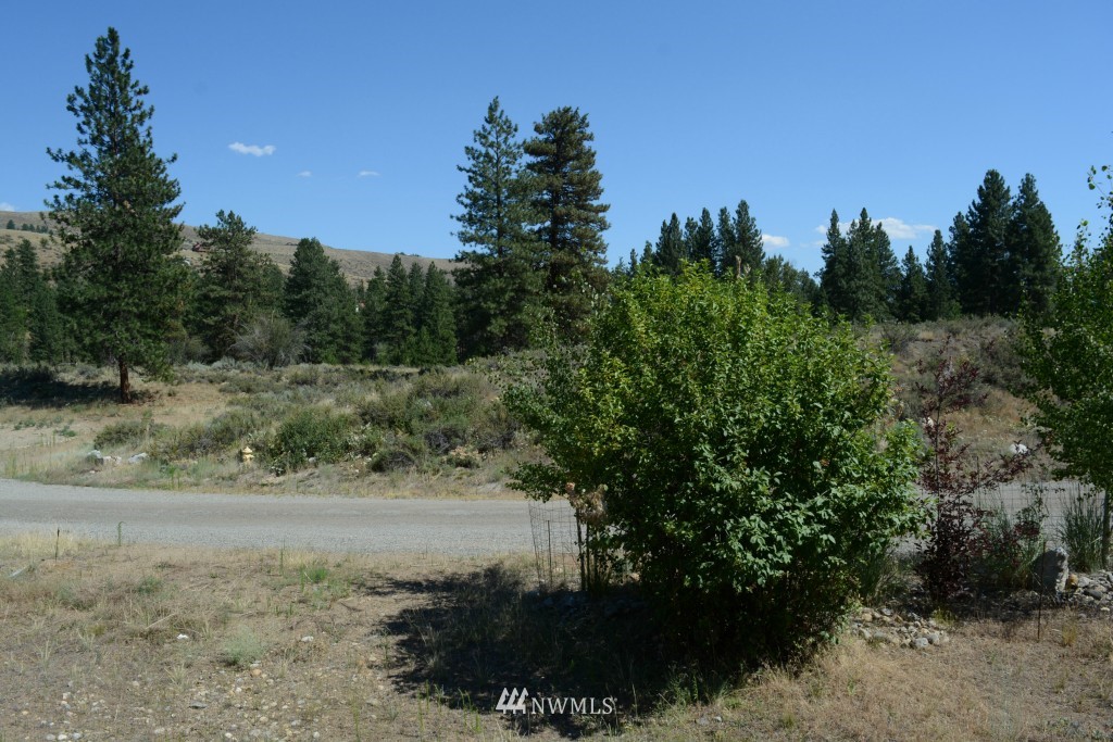 0 North Village Road Winthrop, WA 98862 - Photo 5 of 16 Gallery Image 5