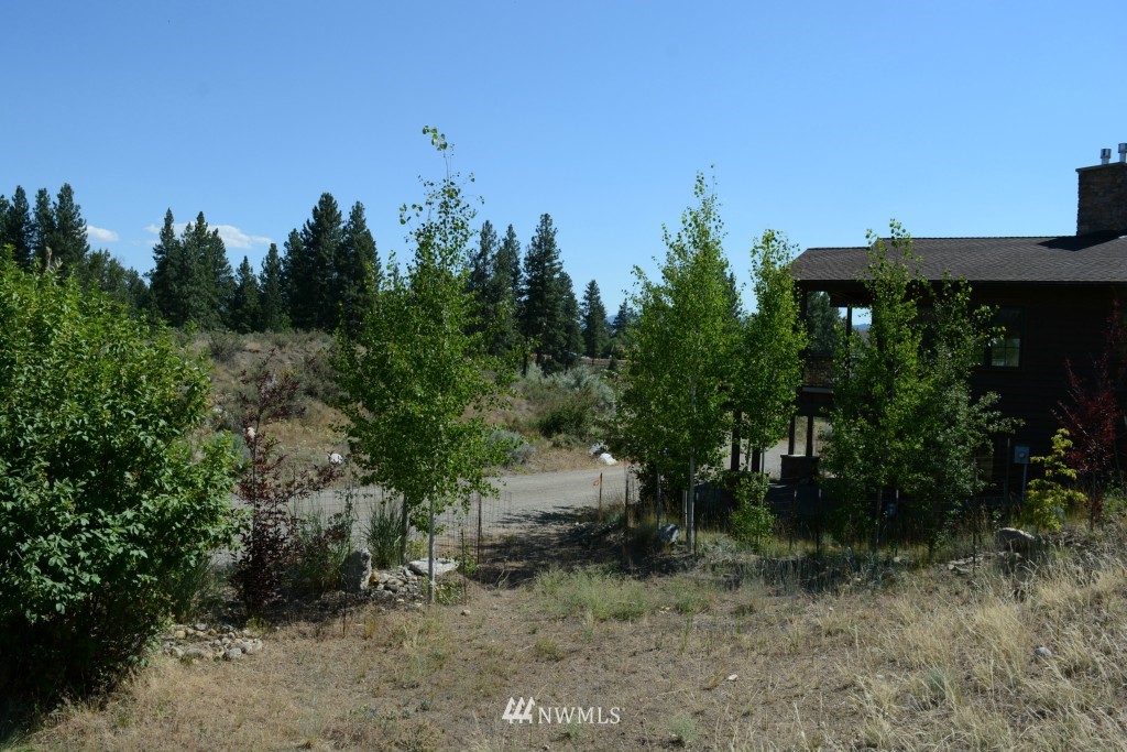 0 North Village Road Winthrop, WA 98862 - Photo 6 of 16 Gallery Image 6