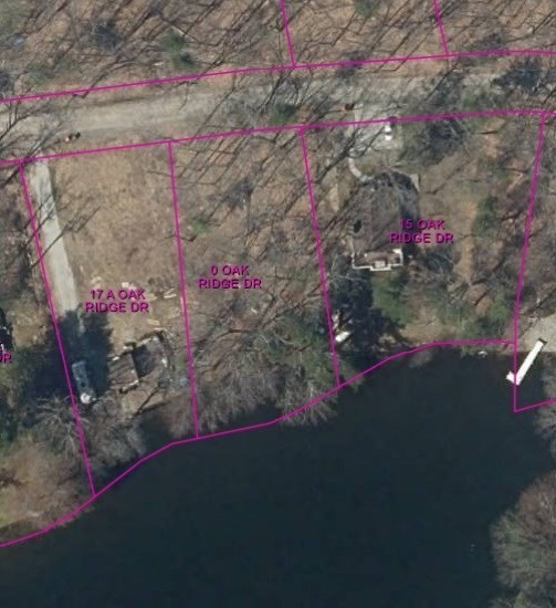 0 Oak Ridge Drive Charlton, MA 01507 - Photo 2 of 2 a view of a flower in a yard