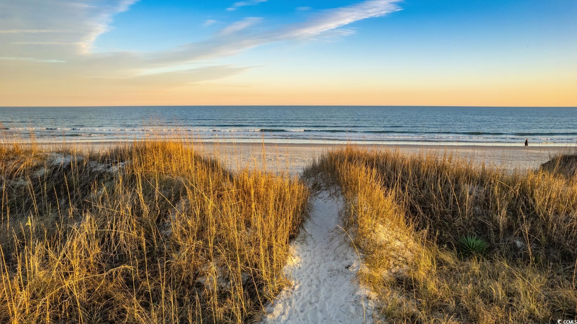 346 Tucker Road, Unit A Pawleys Island, SC 29585 - Photo 37 of 39