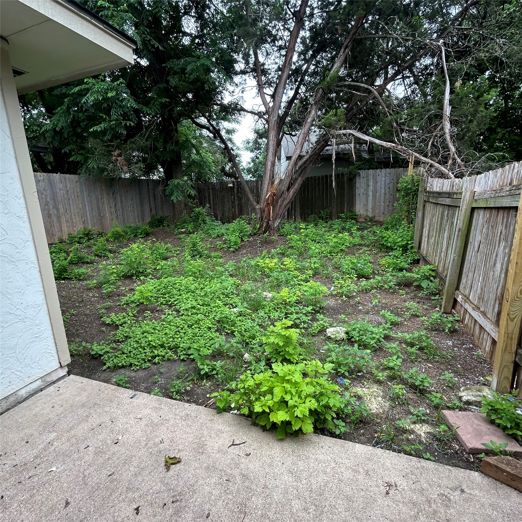 1235 Armadillo Road, Unit B Austin, TX 78745 - Photo 18 of 19