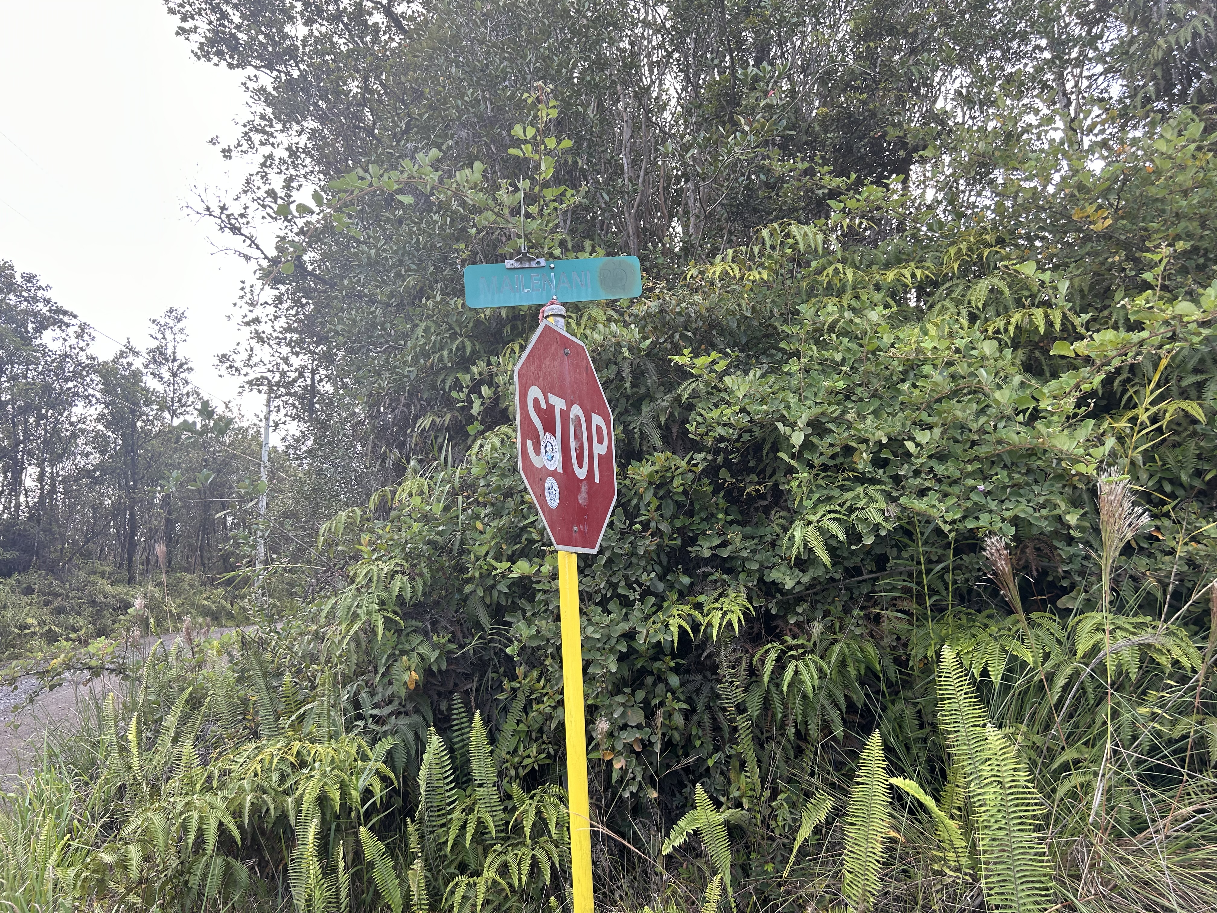 19 Mailenani Road Mountain View, HI 96771 - Photo 7 of 8