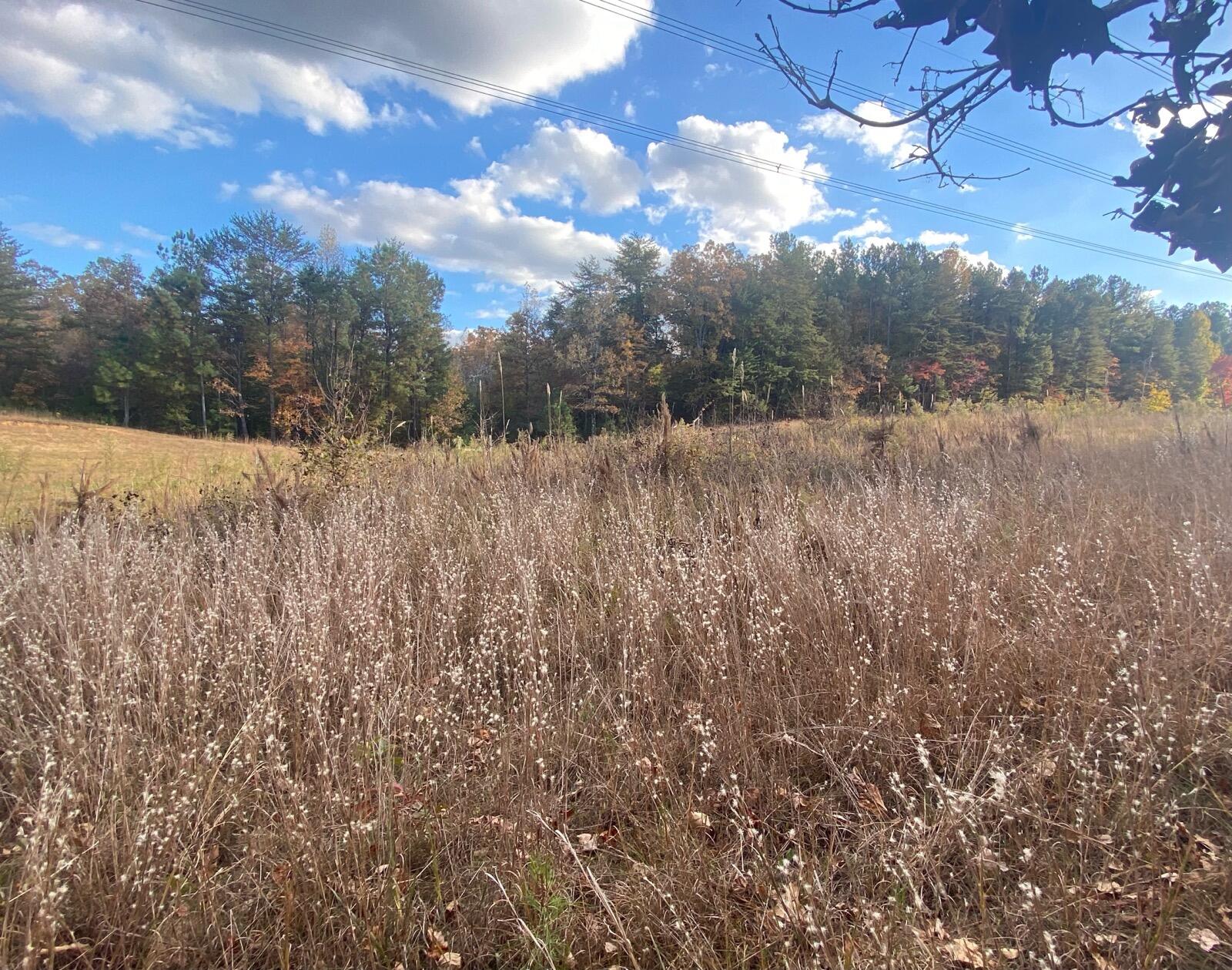 1475 Texas Valley Road Northwest Rome, GA 30165 - Photo 5 of 6 5