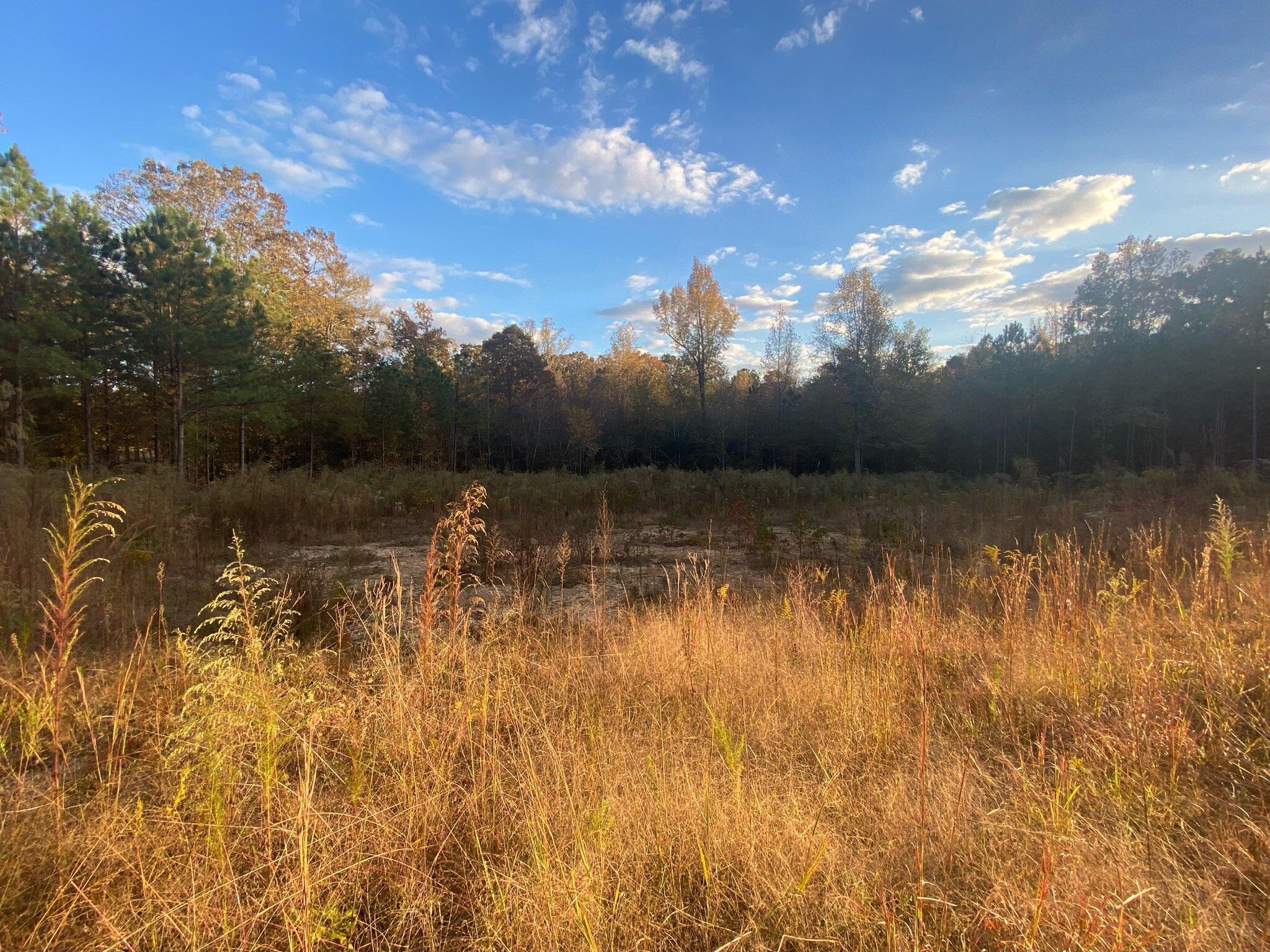 1475 Texas Valley Road Northwest Rome, GA 30165 - Photo 6 of 6 6