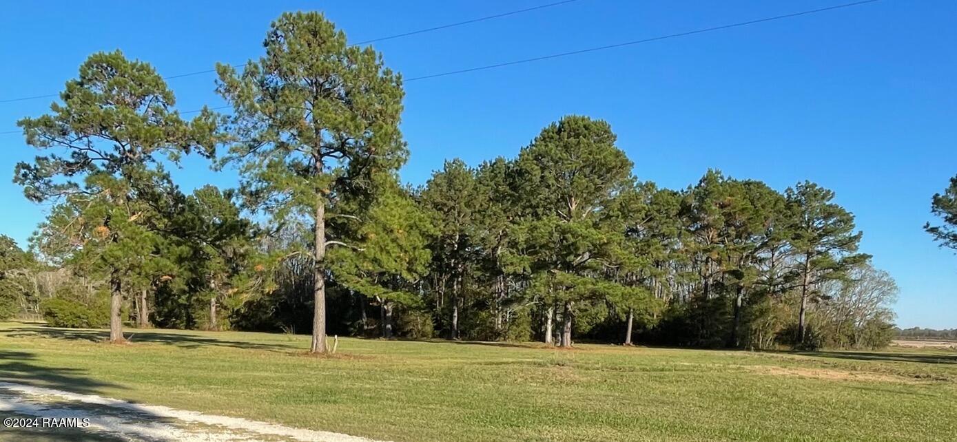 0 Garcille Road Oberlin, LA 70655 - Photo 1 of 4 IMG_2842