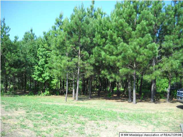 1833 Grass Pond Road Hernando, MS 38632 - Photo 2 of 13 Additional Photo