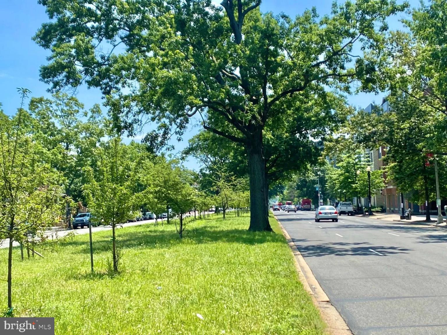 1315 Pennsylvania Ave. Southeast, Unit B Washington, DC 20003 - Photo 19 of 19 a garden view