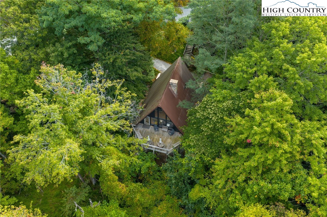 179 Rhododendron Drive Beech Mountain, NC 28604 - Photo 43 of 44 a view of a garden with a tree