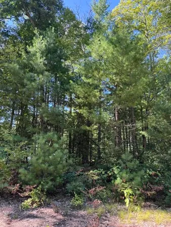 $7,900 | V/l South Pershing Road, Baldwin, MI 49304