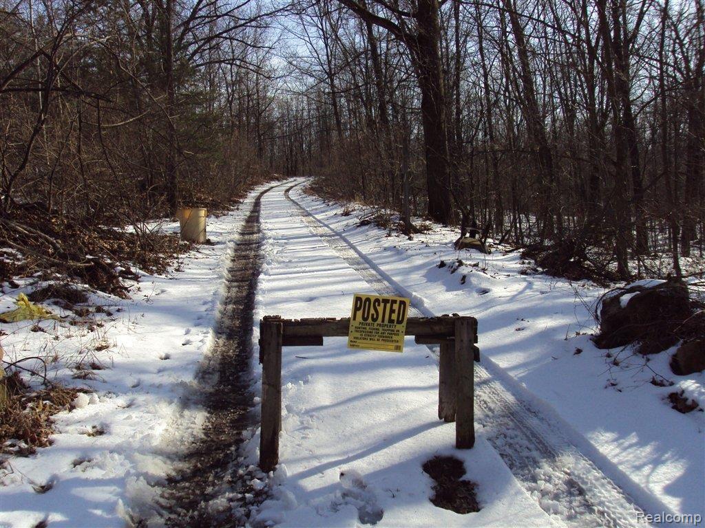 11200 Watchbird Road Fenton, MI 48430 - Photo 2 of 9 Long Secluded Driveway
