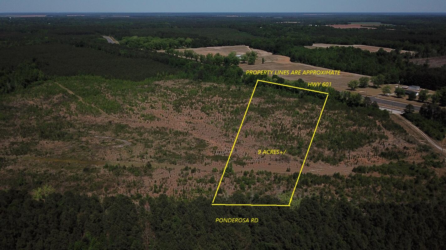 0 Ponderosa Road St. Matthews, SC 29135 - Photo 1 of 4 DJI_0036