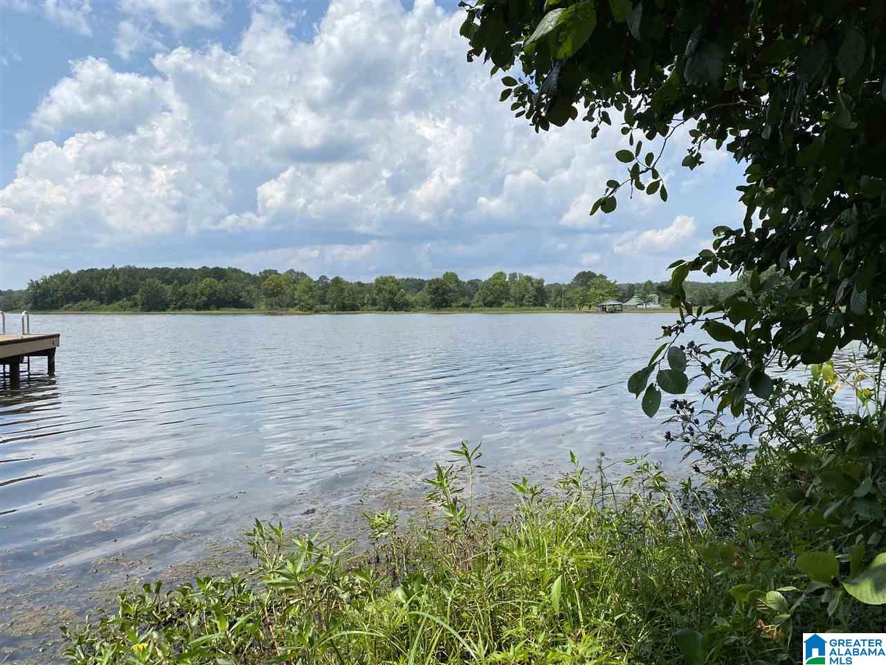 Lot 23 Cove Road, Unit 23 Sylacauga, AL 35151 - Photo 4 of 13