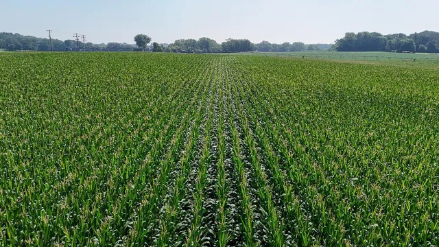 $6,859,000 | 10998 Point Douglas Drive South, Cottage Grove, MN 55033