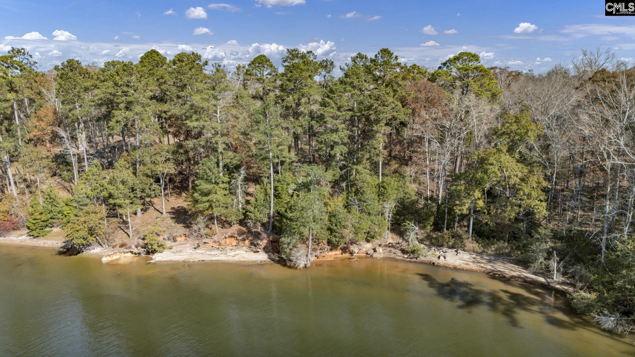 0 Bridge View Prosperity, SC 29127 - Photo 11 of 28
