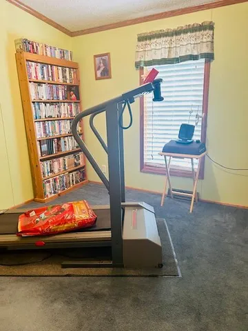 $249,900 | 19911 Maple Street, Evart, MI 49631