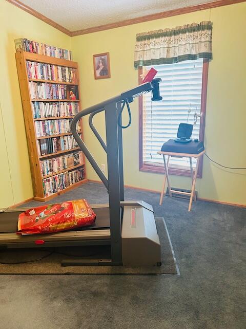 19911 Maple Street Evart, MI 49631 - Photo 8 of 23 IMG_0741