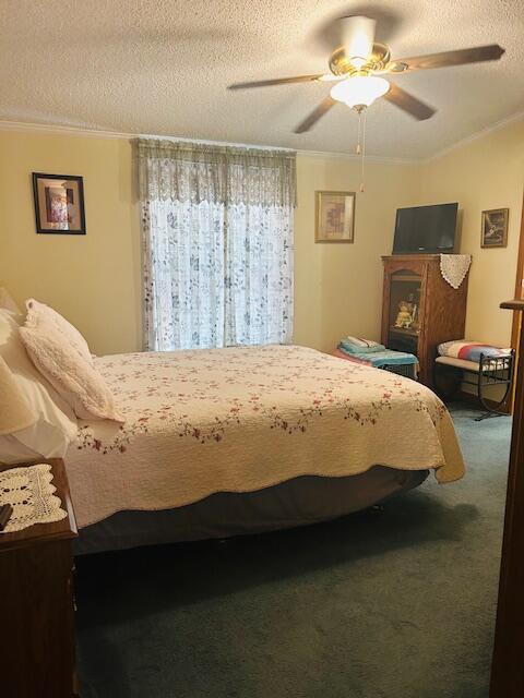 19911 Maple Street Evart, MI 49631 - Photo 10 of 23 IMG_0746