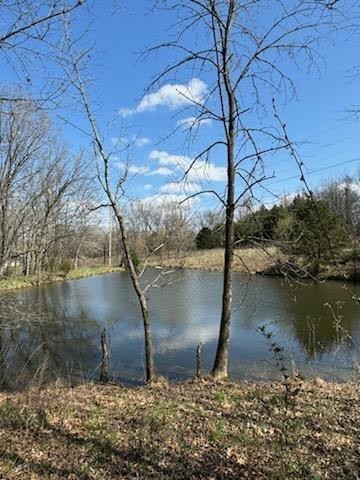295 Ben Armstrong Road Castalian Springs, TN 37031 - Photo 36 of 44 a backyard of a house with a yard