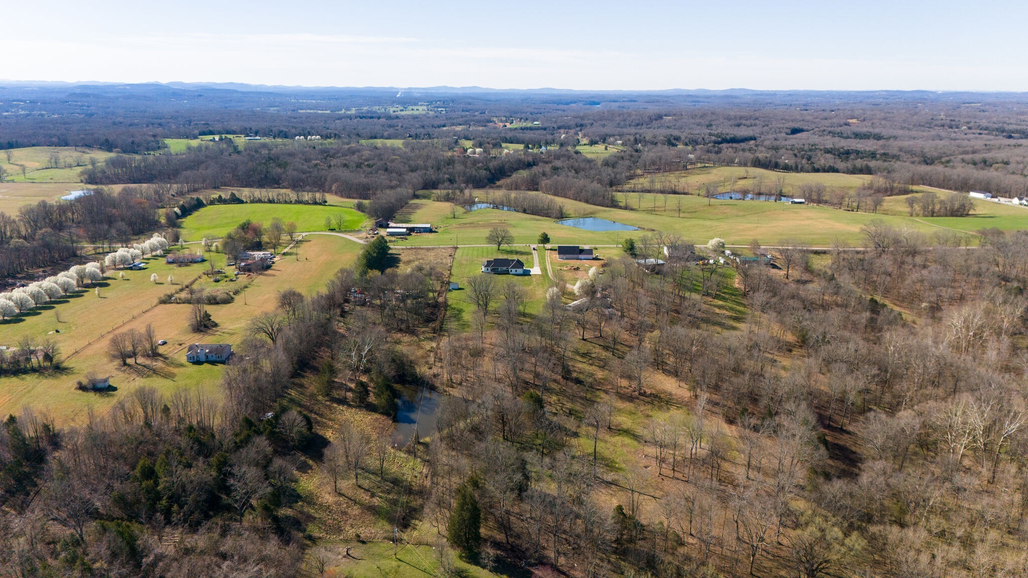 295 Ben Armstrong Road Castalian Springs, TN 37031 - Photo 42 of 44 an aerial view of residential houses with outdoor space and trees