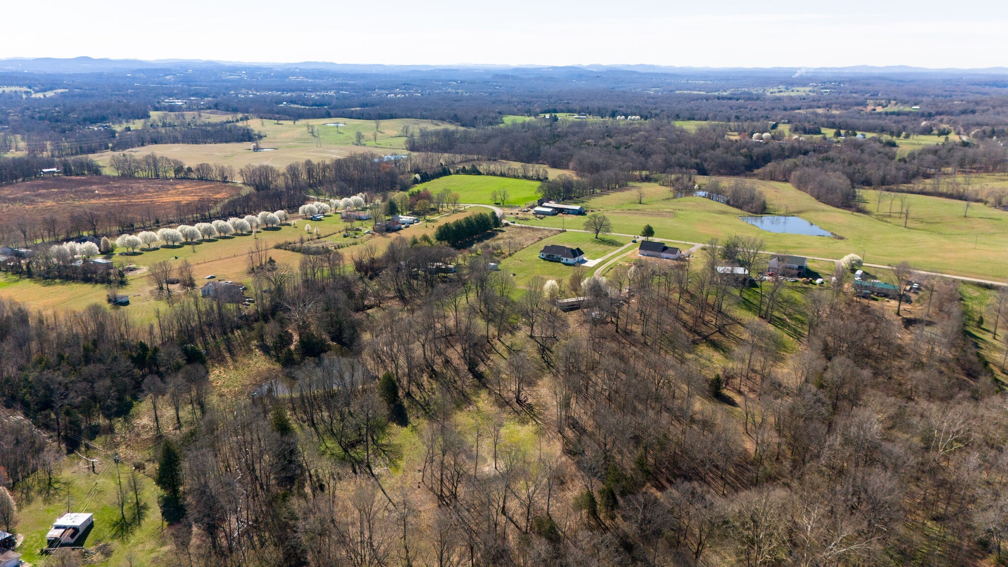 295 Ben Armstrong Road Castalian Springs, TN 37031 - Photo 44 of 44 a view of a lake in middle of the town