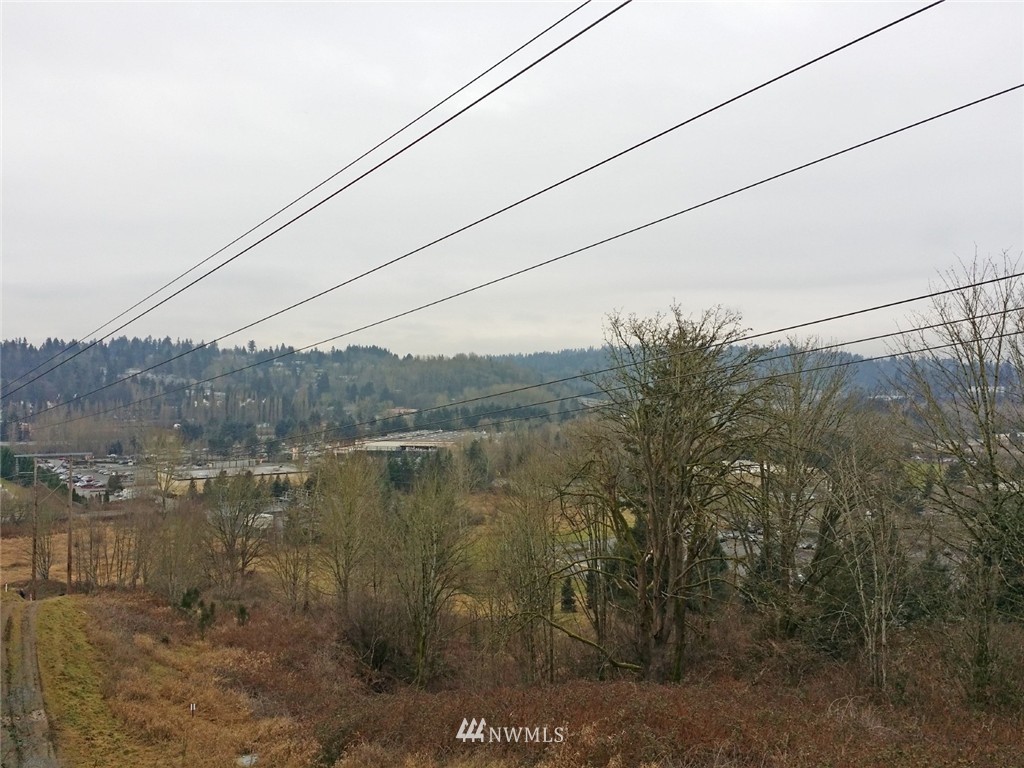 19007 126th Avenue Northeast Bothell, WA 98011 - Photo 14 of 15 a view of a lake with a mountain