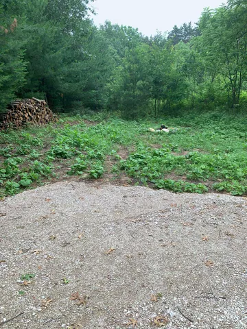 $50,000 | Evergreen Drive, Unit 25, Wautoma, WI 54982