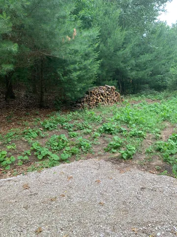 $50,000 | Evergreen Drive, Unit 25, Wautoma, WI 54982