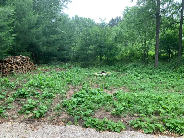 $50,000 | Evergreen Drive, Unit 25, Wautoma, WI 54982