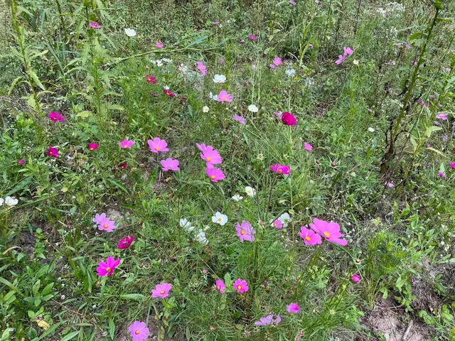 $50,000 | Evergreen Drive, Unit 25, Wautoma, WI 54982