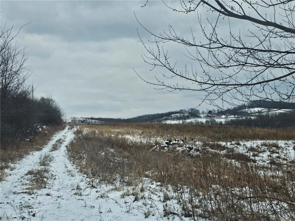 0 North Tower Road Fombell, PA 16123 - Photo 2 of 4