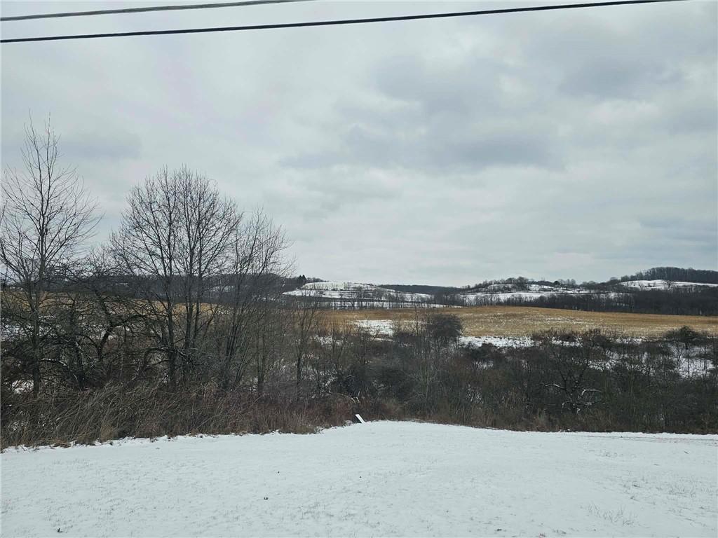 0 North Tower Road Fombell, PA 16123 - Photo 3 of 4