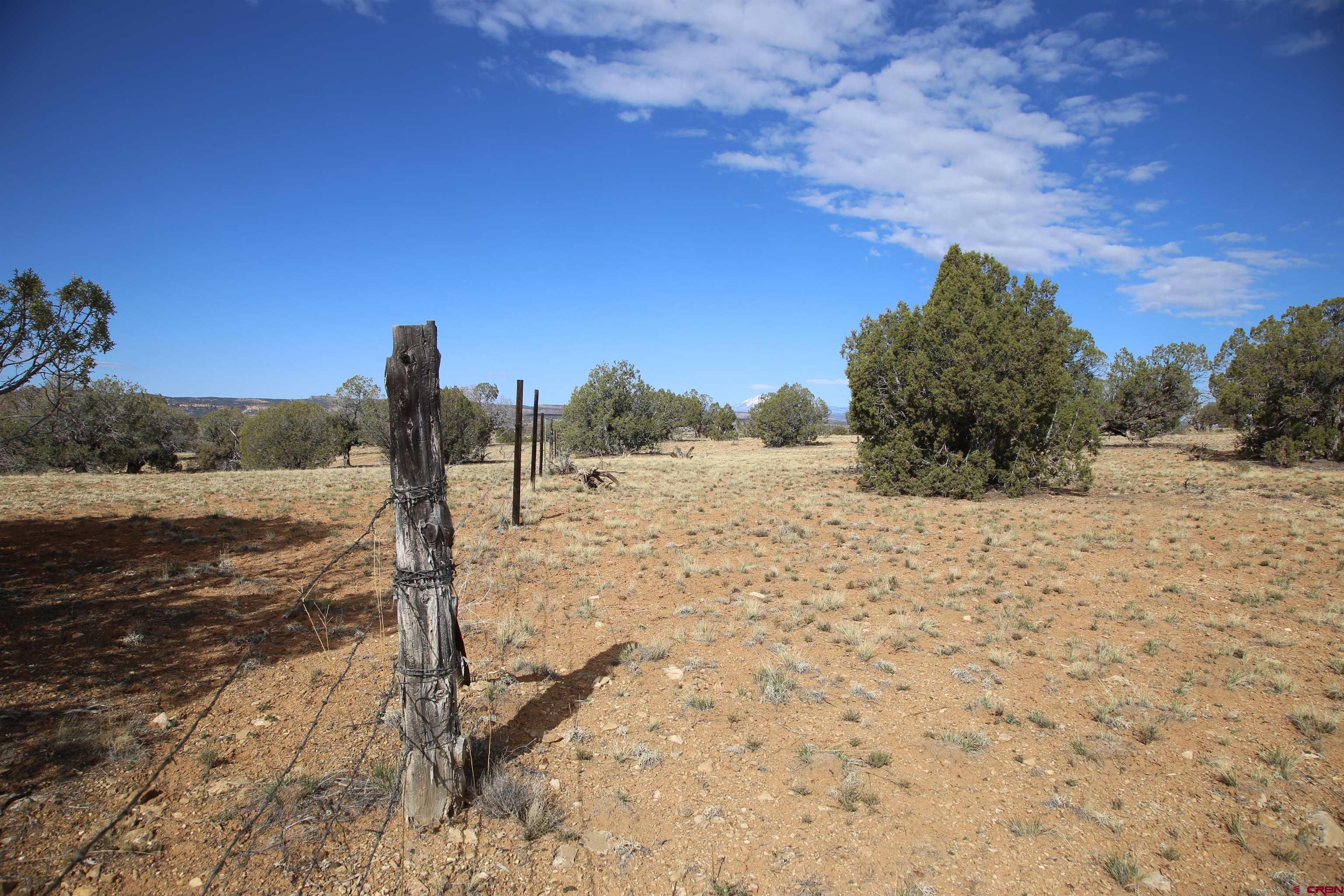 24522 Z26 Road Nucla, CO 81424 - Photo 19 of 25 Gallery Image 19