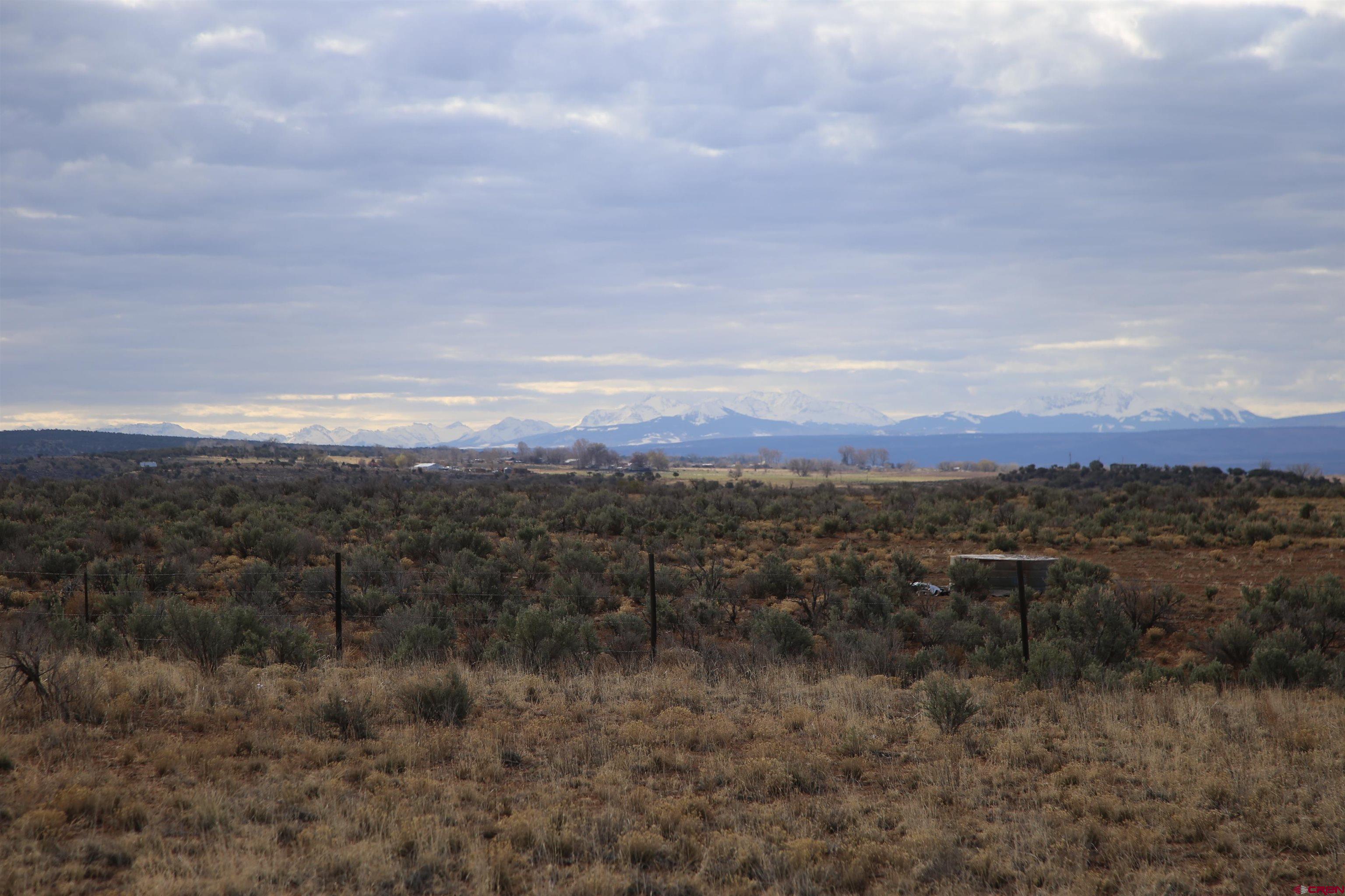 24522 Z26 Road Nucla, CO 81424 - Photo 10 of 25 Gallery Image 10