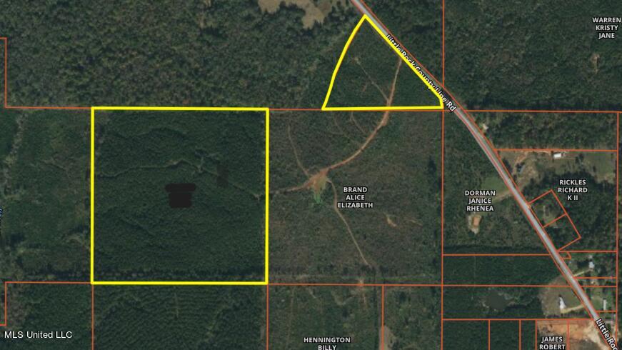 0 Little Rock County Line Road Union, MS 39365 - Photo 8 of 9 Screenshot 2024-02-01 11.32.08