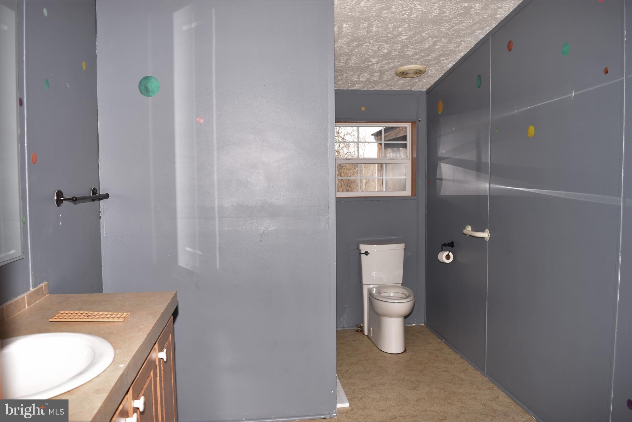 2332 Fulton Road Hedgesville, WV 25427 - Photo 16 of 36 2nd bathroom off primary bedroom, with shower