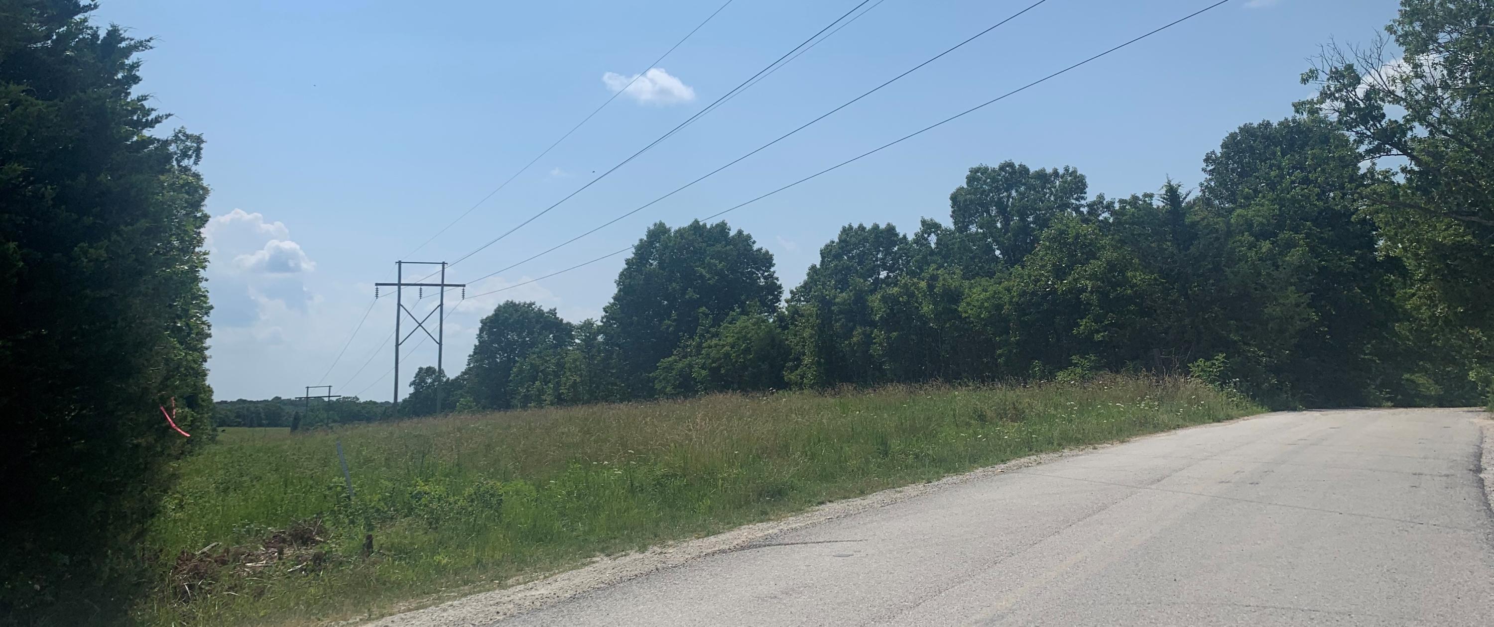 0 Stoneridge Center Road Reeds Spring, MO 65737 - Photo 1 of 1 McClure land