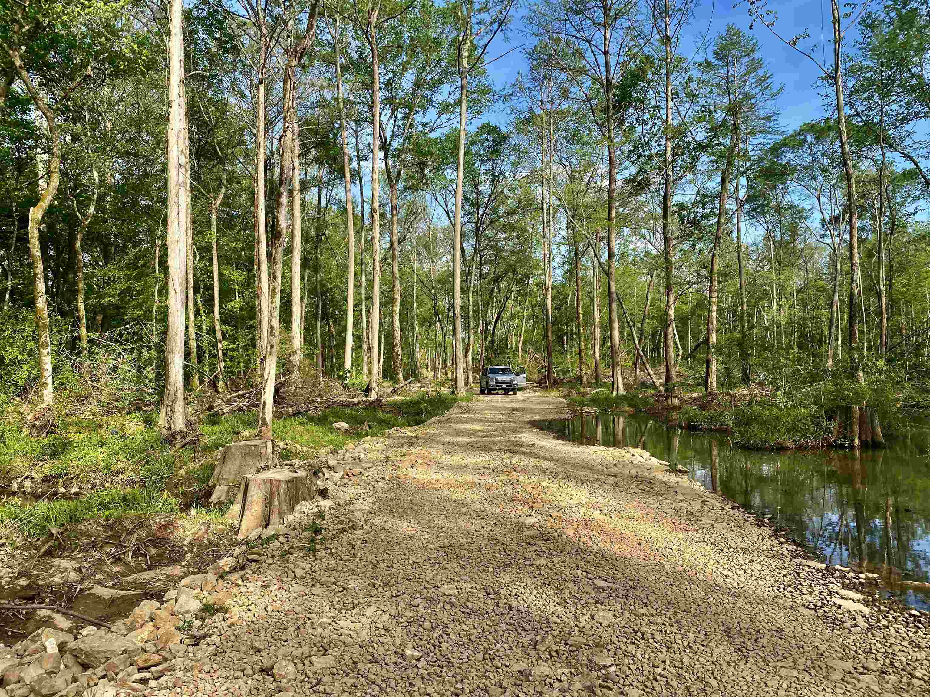 590-acres Early Grove Road Lamar, MS 38642 - Photo 13 of 39 Gallery Image 13