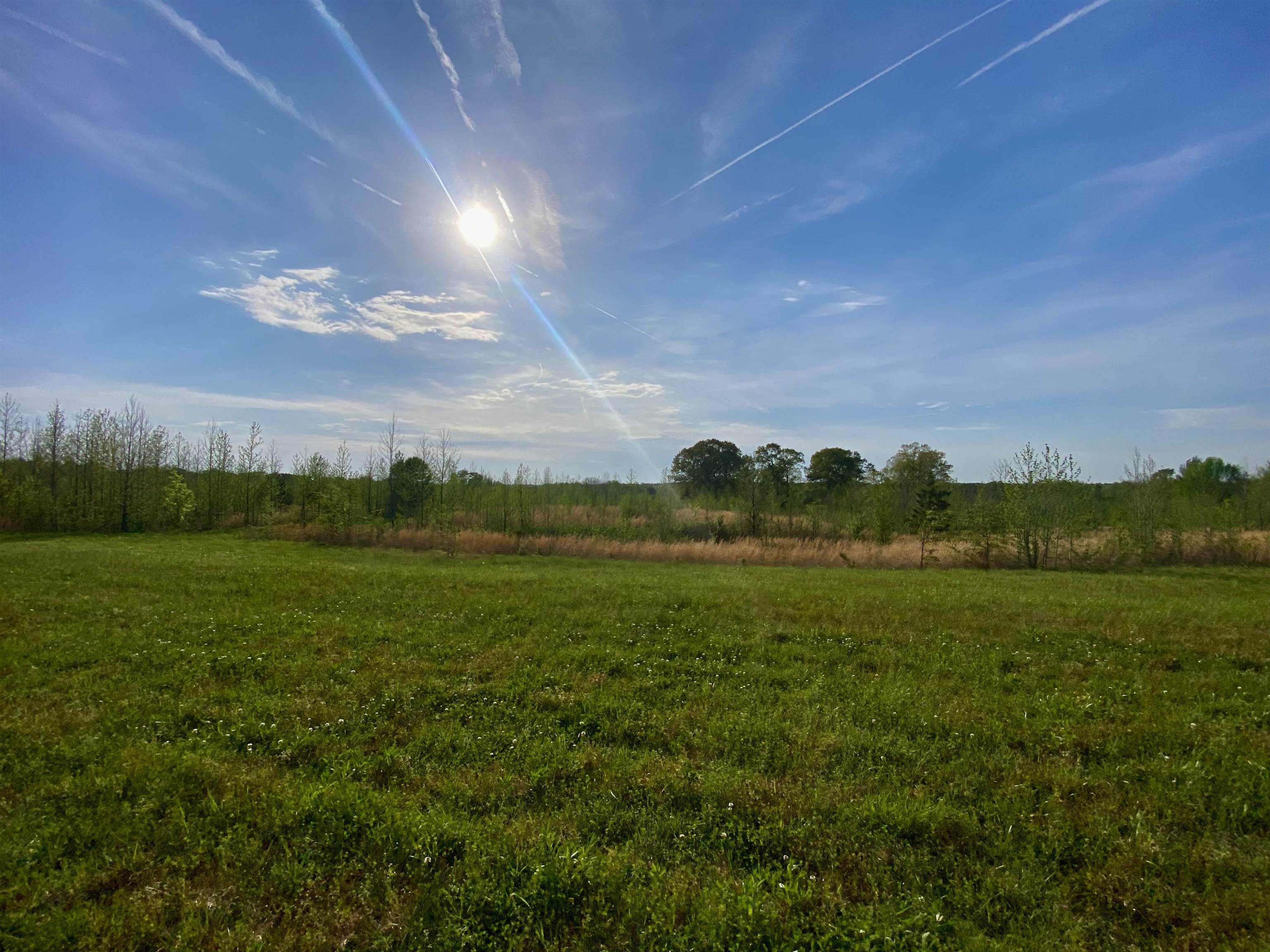 590-acres Early Grove Road Lamar, MS 38642 - Photo 20 of 39 Gallery Image 20